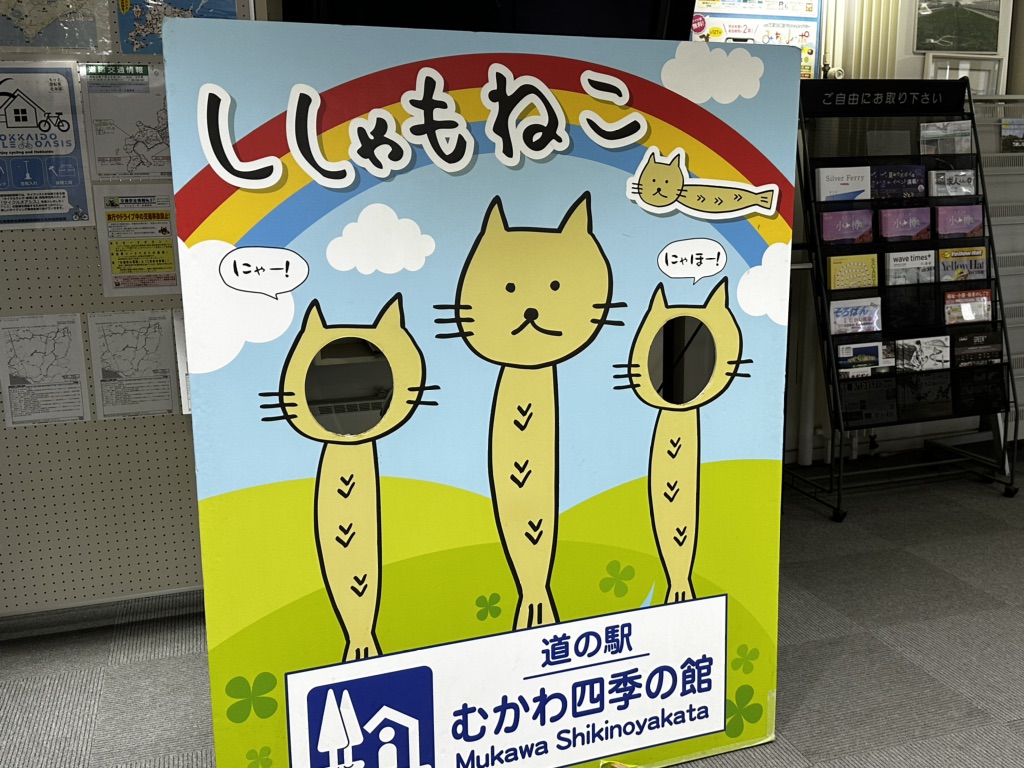 投稿された画像