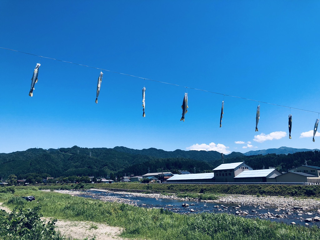 投稿された画像