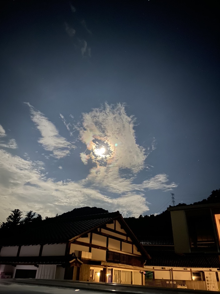 投稿された画像