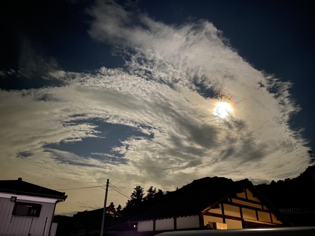 投稿された画像