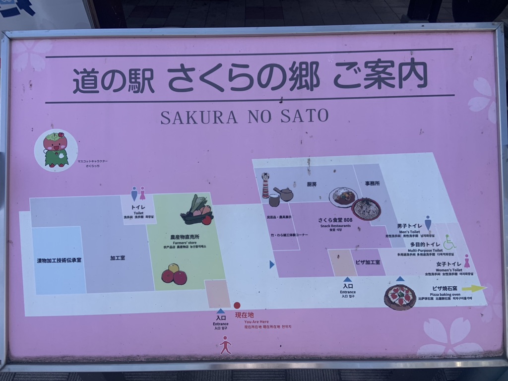 投稿された画像