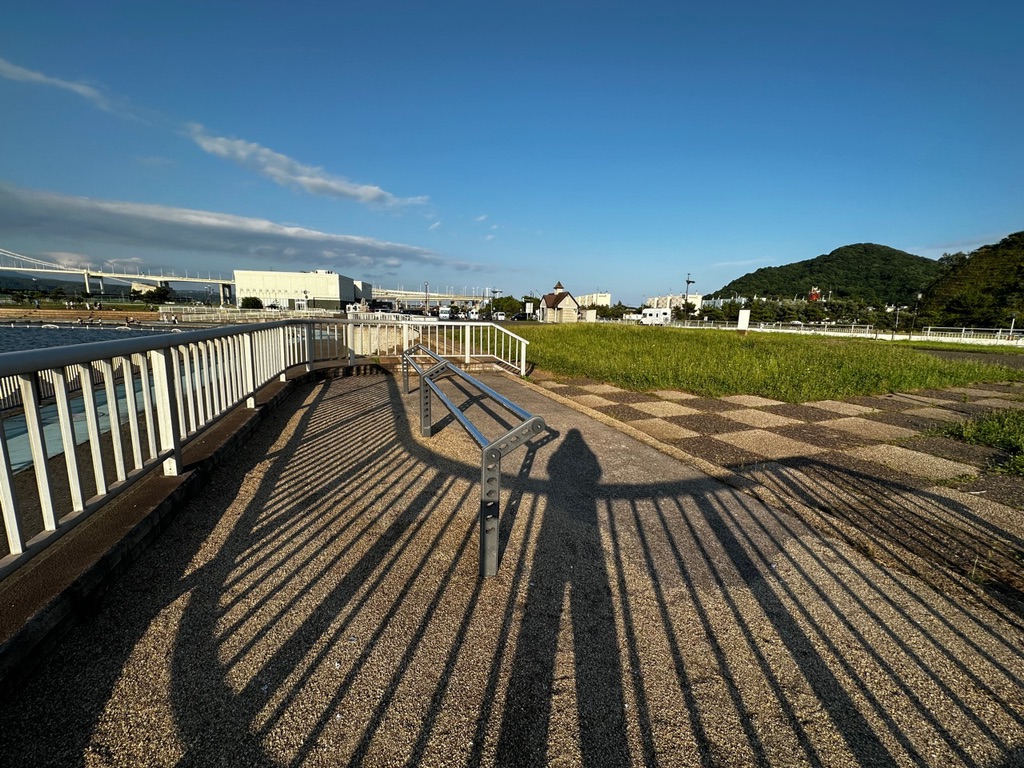 投稿された画像