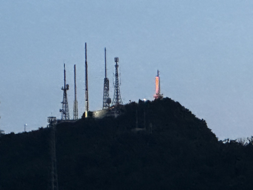 投稿された画像