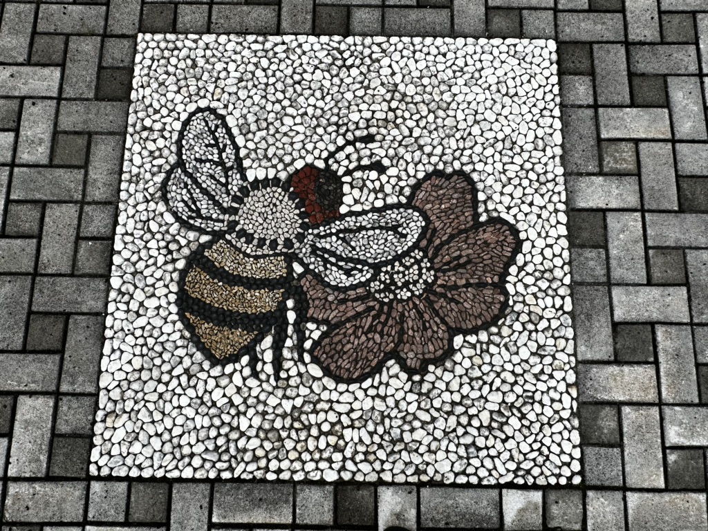 投稿された画像