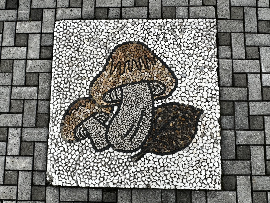 投稿された画像