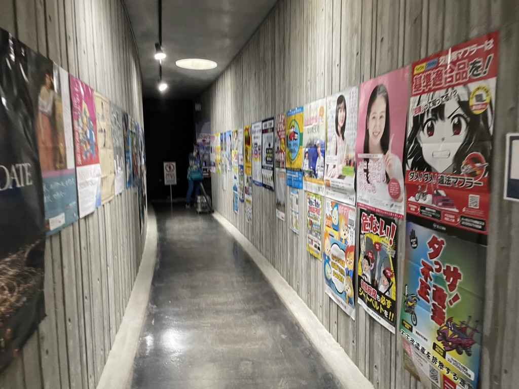 投稿された画像