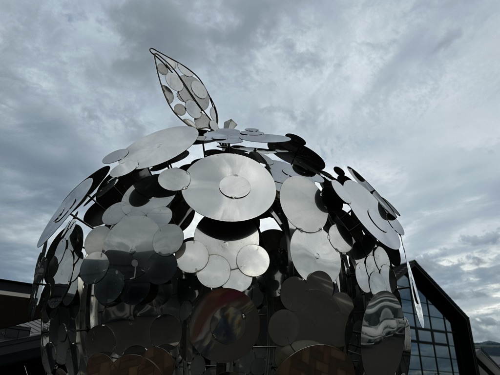 投稿された画像