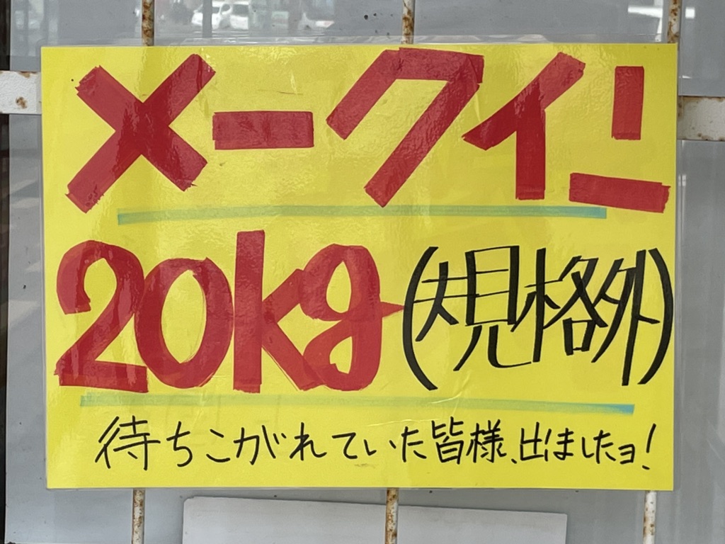 投稿された画像