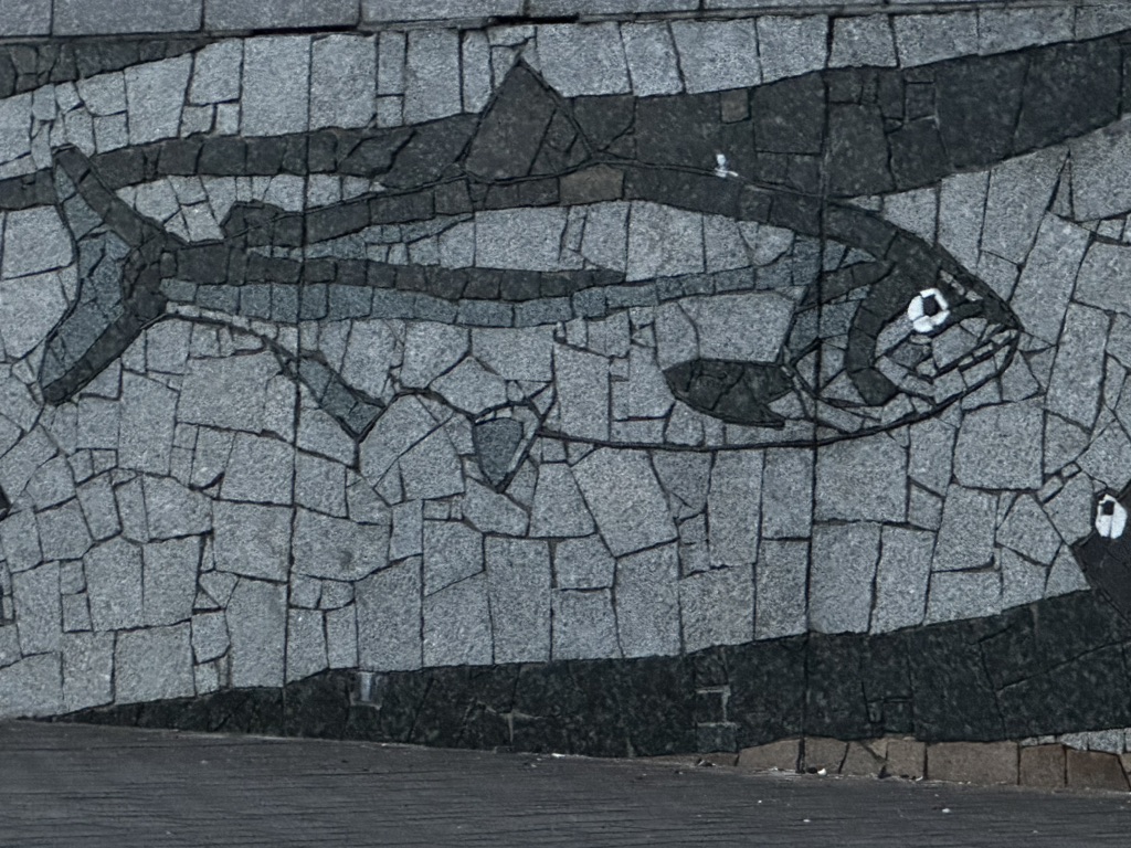 投稿された画像