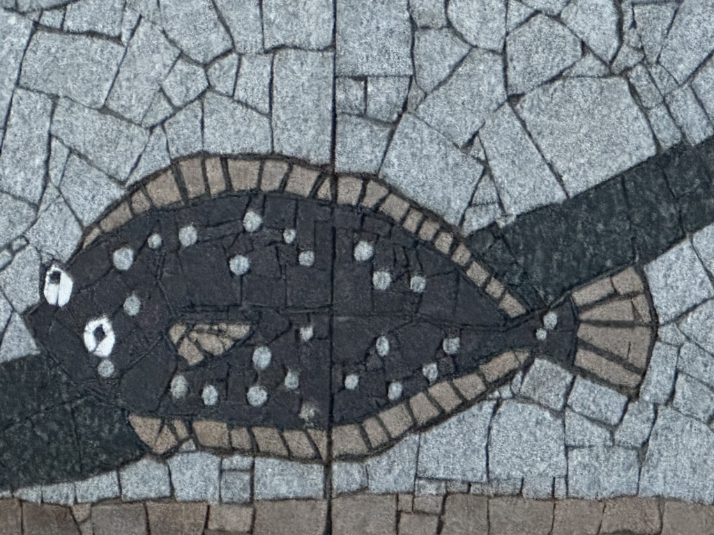 投稿された画像