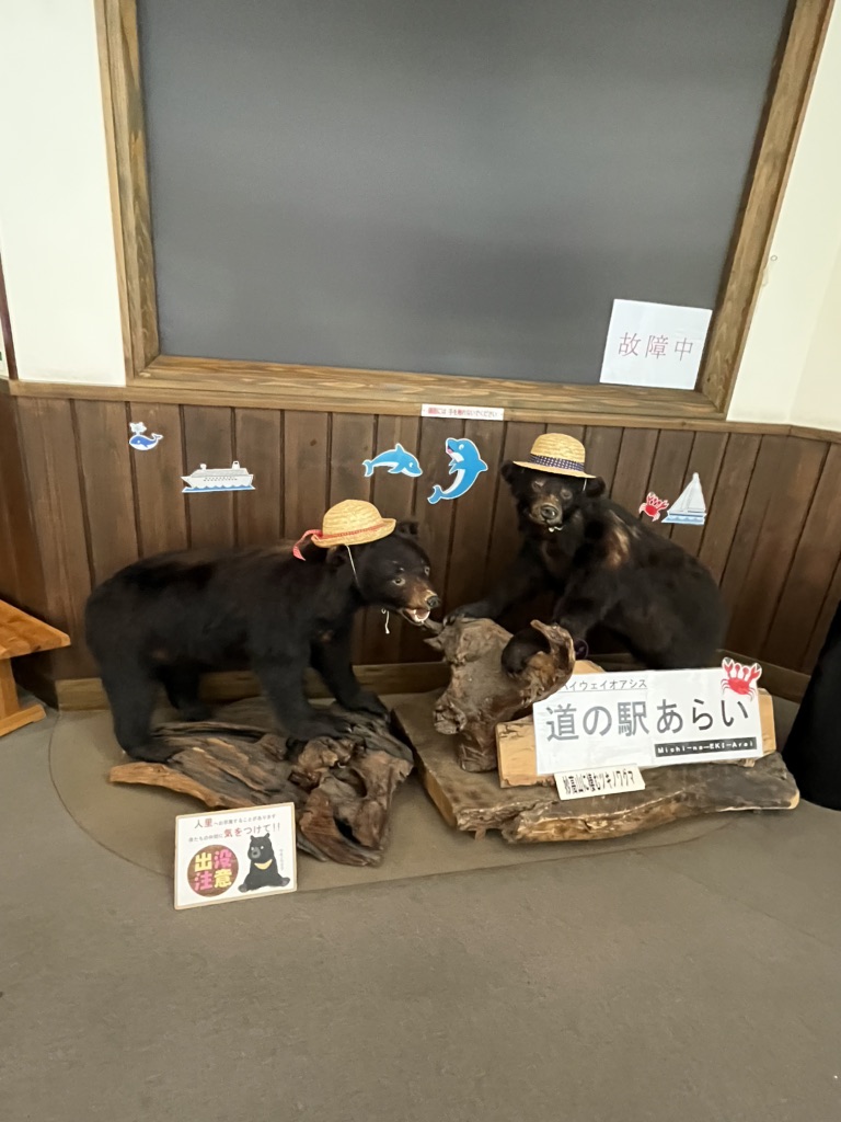 道の駅 あらいの写真