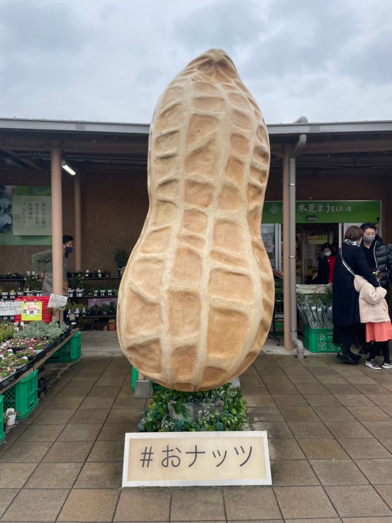 道の駅 木更津うまくたの里の写真