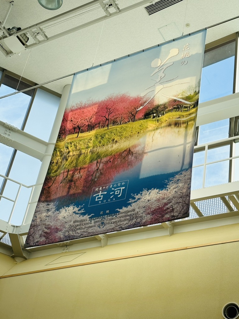 道の駅 まくらがの里　こがの写真