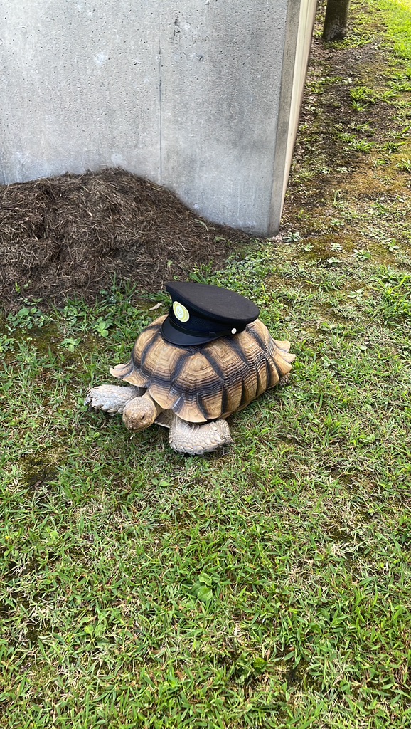 道の駅 あまるべの写真