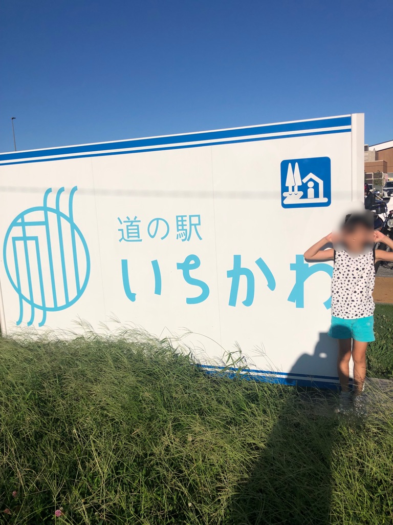 道の駅 いちかわの写真