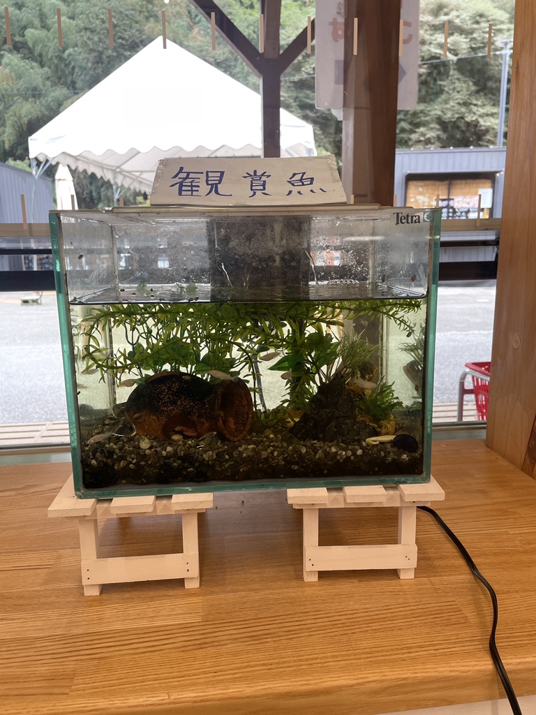 道の駅 くしがきの里の写真