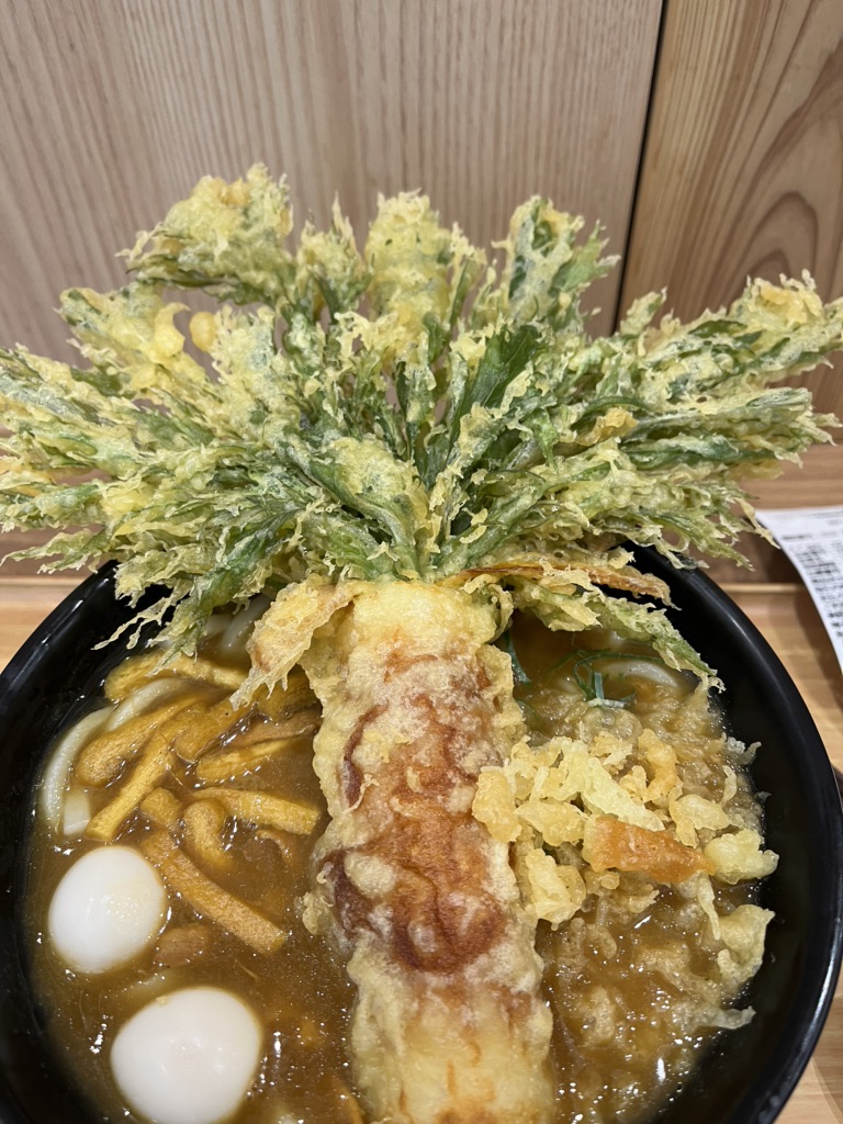 道の駅 とよはしの写真