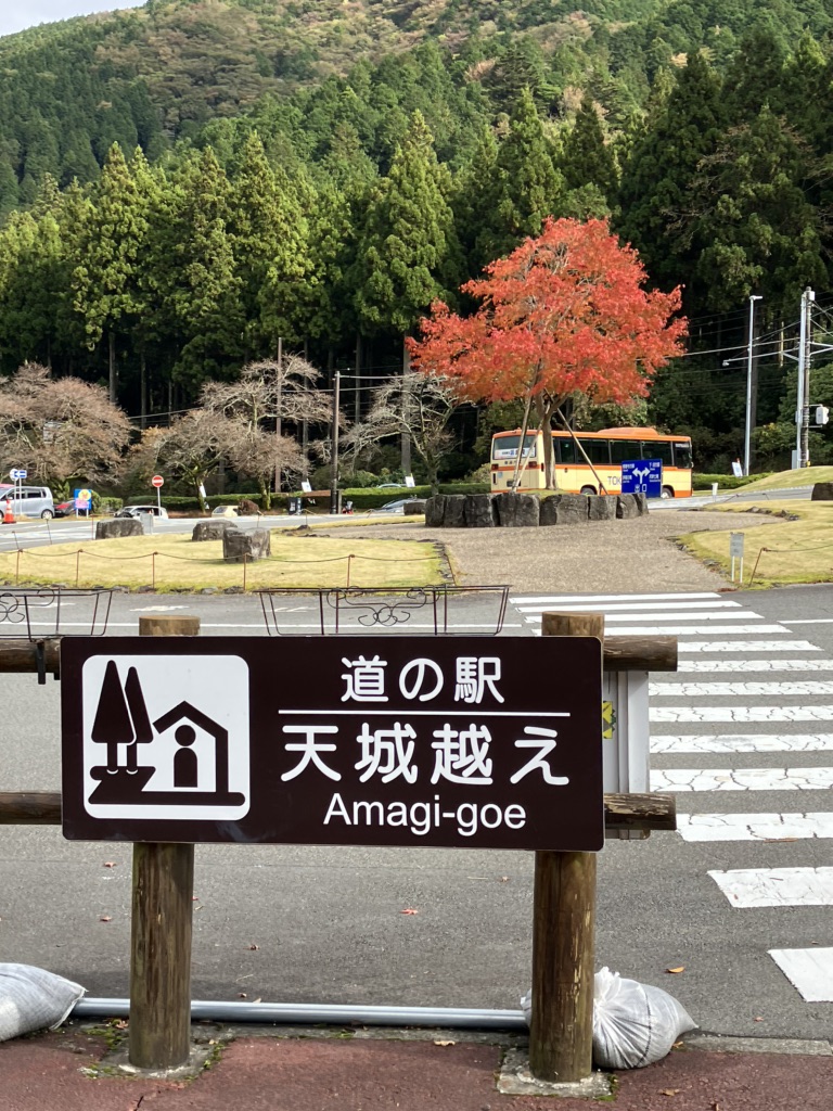 道の駅 天城越えの写真