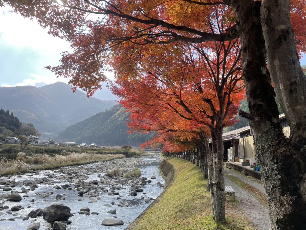 道の駅 みなみ波賀の写真