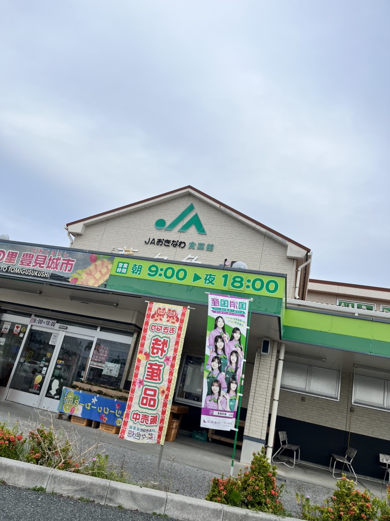 道の駅 豊崎の写真