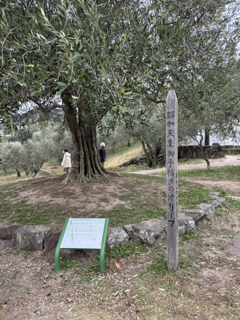 道の駅 小豆島オリーブ公園の写真