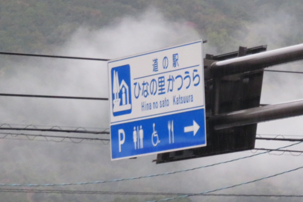 道の駅 ひなの里かつうらの写真