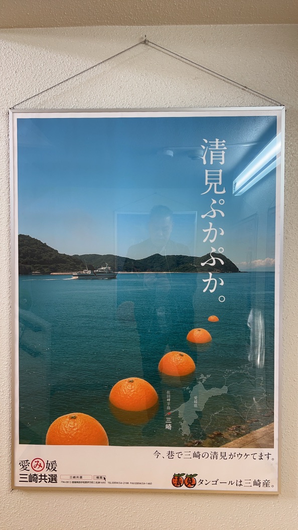 道の駅 伊方きらら館の写真