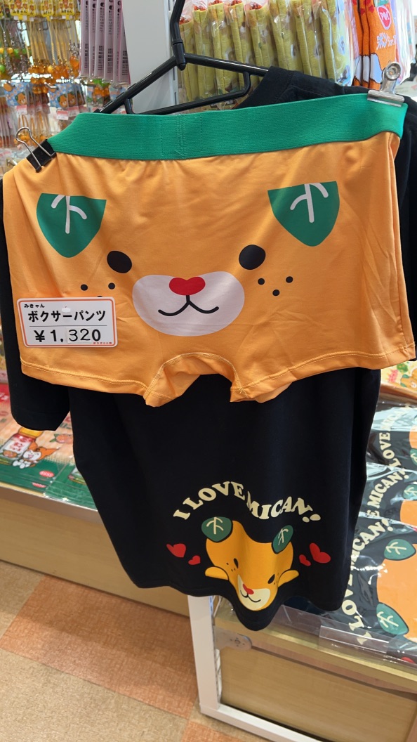 道の駅 伊方きらら館の写真