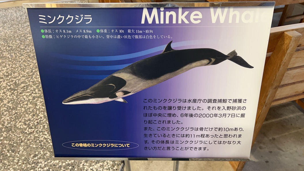 道の駅 ビオスおおがたの写真