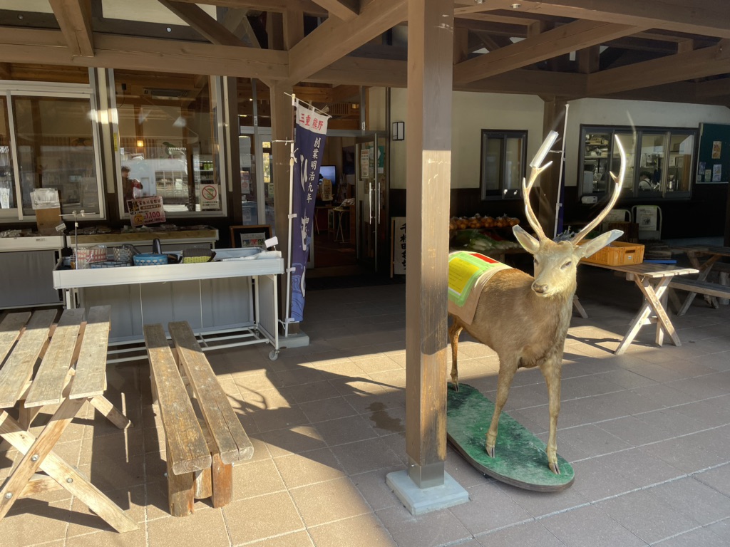 道の駅 熊野・板屋 九郎兵衛の里の写真