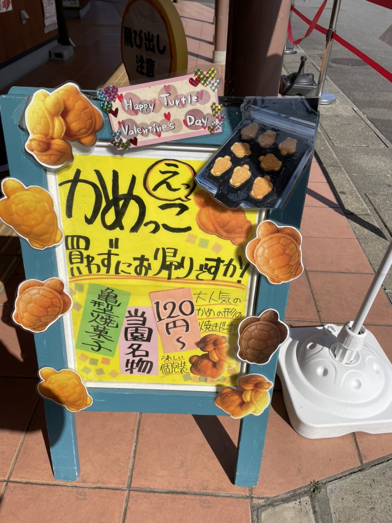 道の駅 紀宝町ウミガメ公園の写真