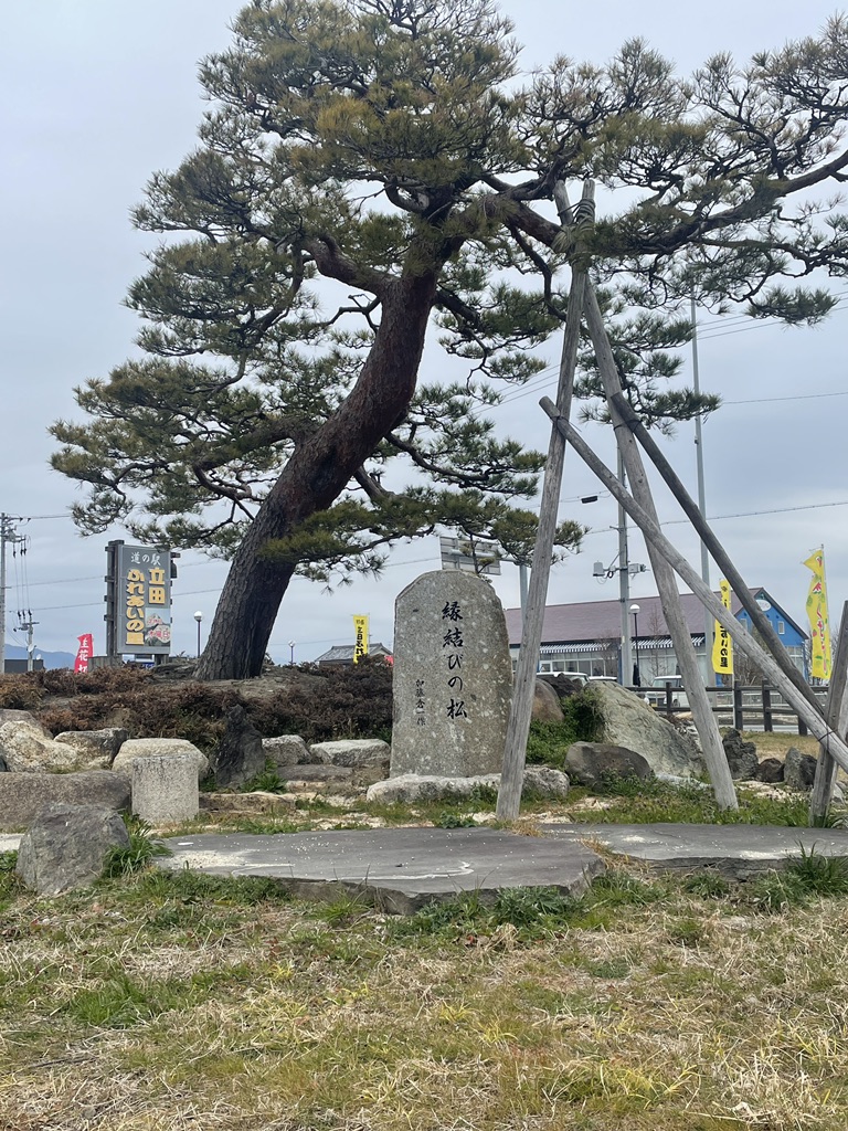 道の駅 ふれあいの里HASUパークの写真