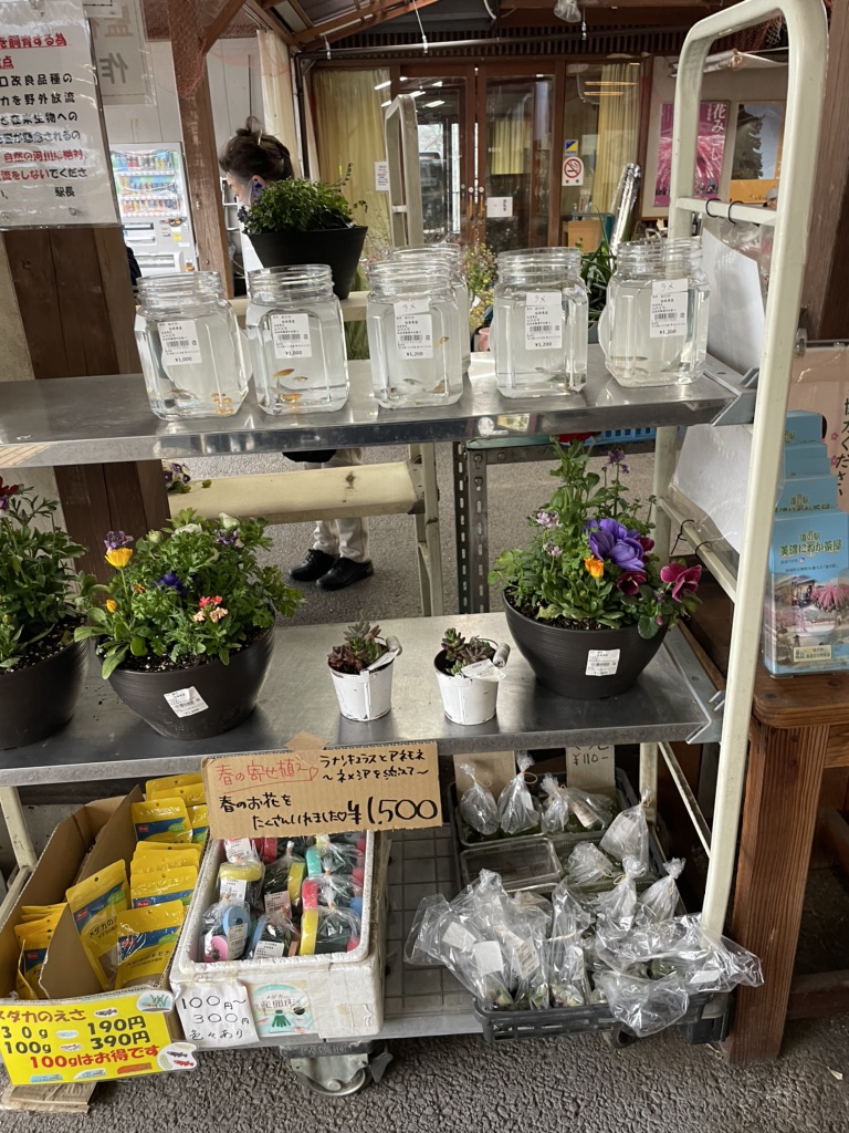 道の駅 美濃にわか茶屋の写真