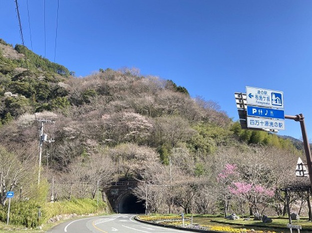 道の駅 布施ヶ坂の写真