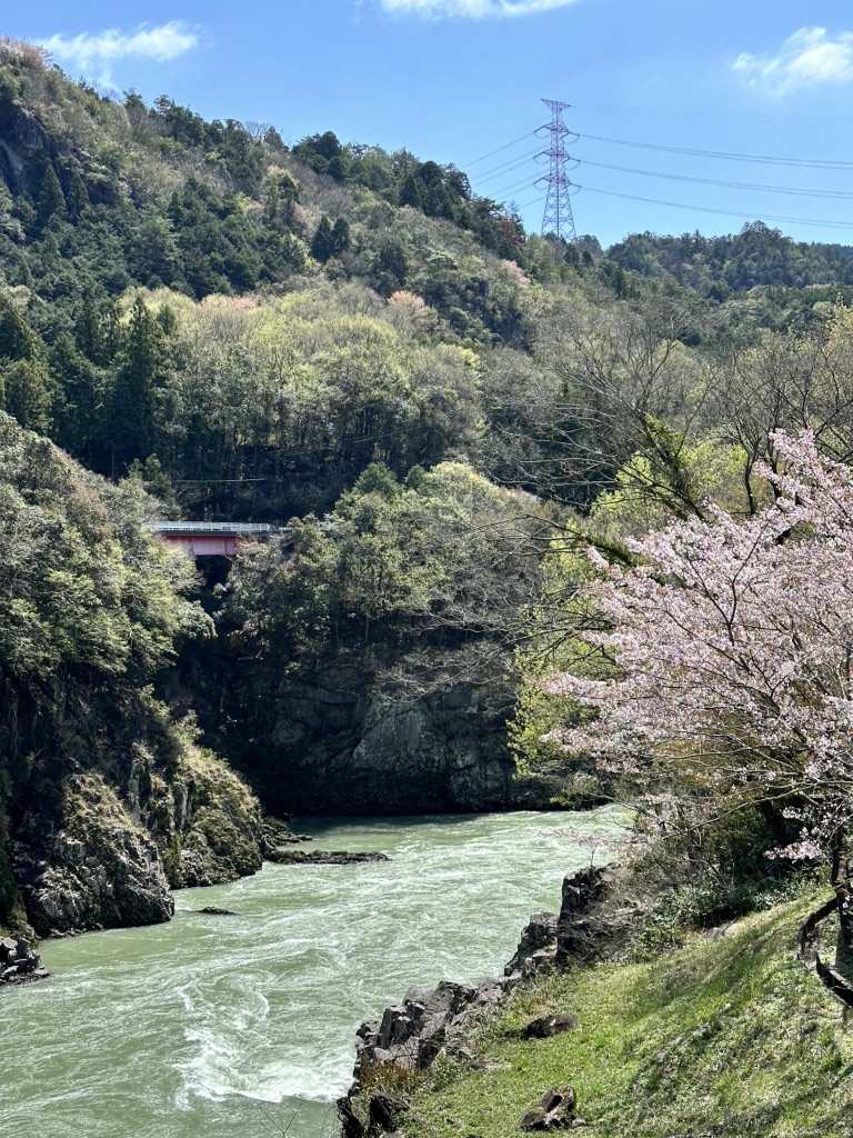道の駅 ロック・ガーデン　ひちそうの写真