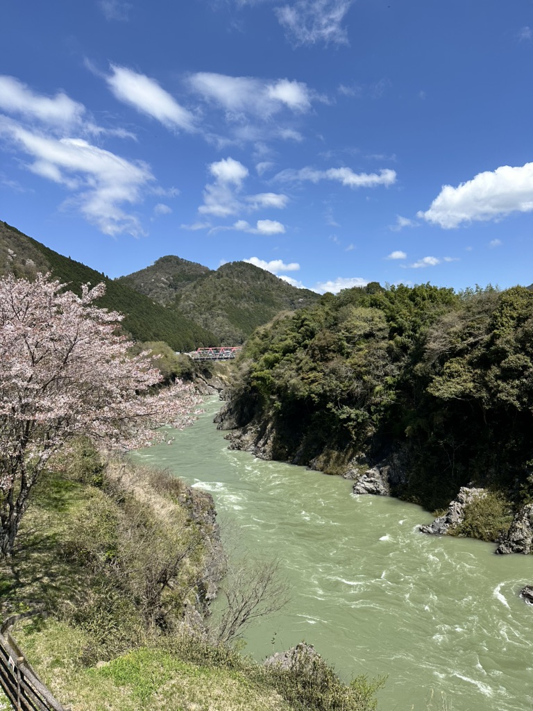 道の駅 ロック・ガーデン　ひちそうの写真