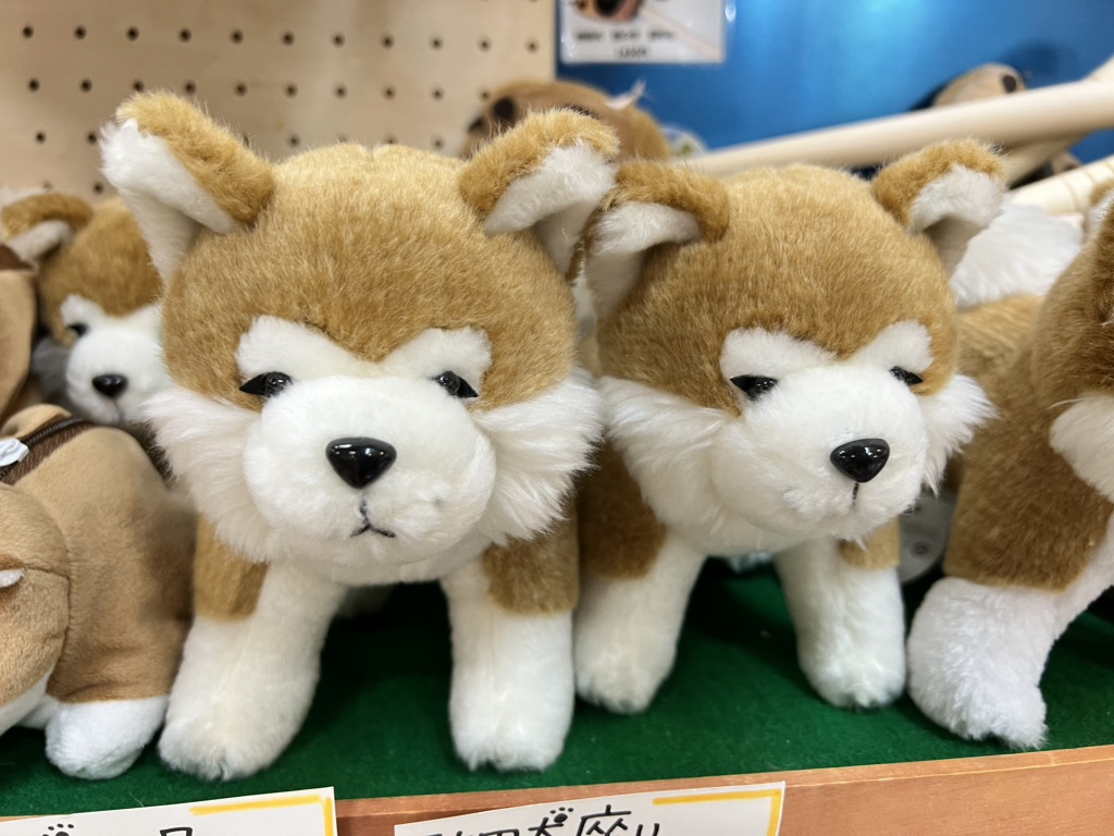 道の駅 かみこあにの写真
