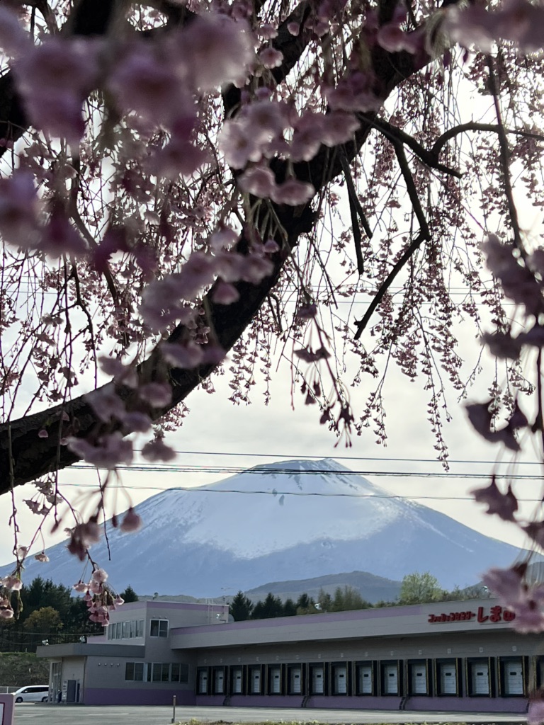 道の駅 にしねの写真