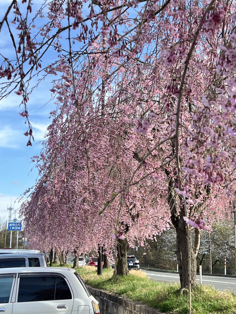 道の駅 にしねの写真