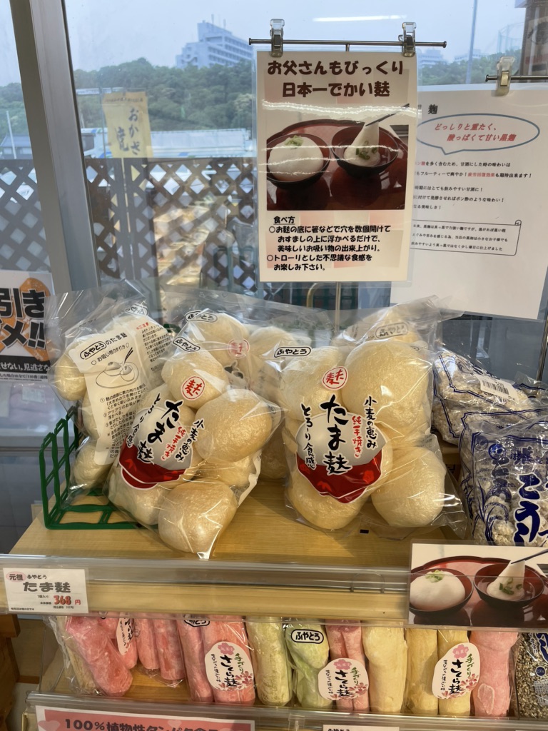 道の駅 藤川宿の写真