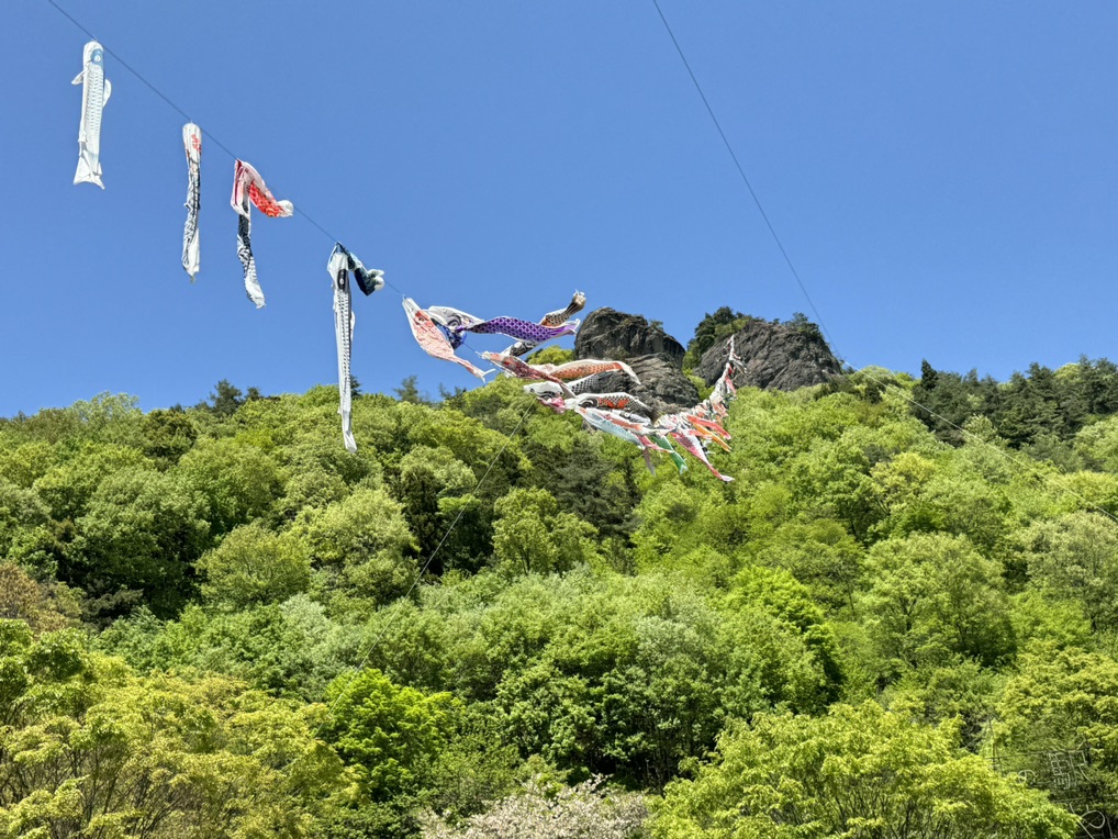 道の駅 霊山たけやまの写真