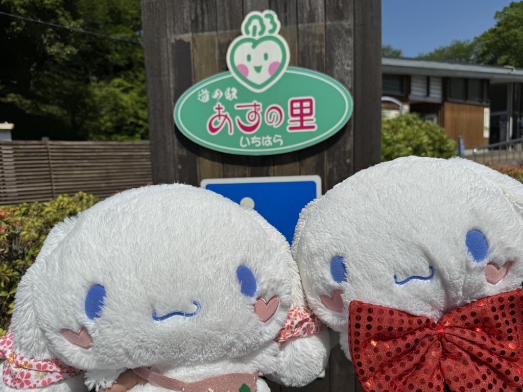 道の駅 あずの里いちはらの写真