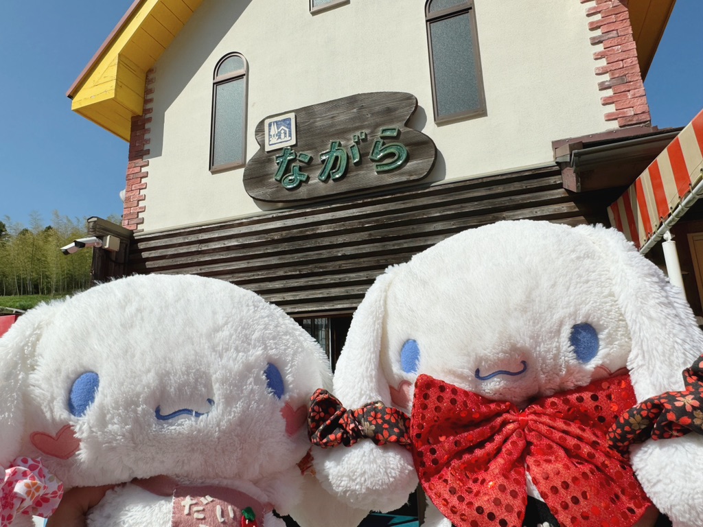 道の駅 ながらの写真
