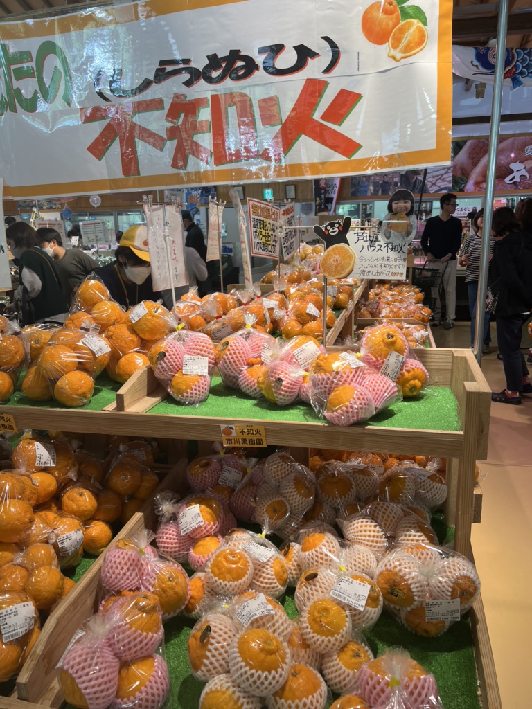 道の駅 芦北でこぽんの写真