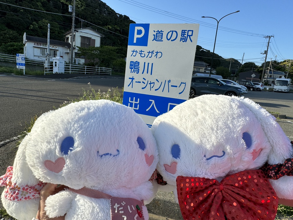 道の駅 鴨川オーシャンパークの写真