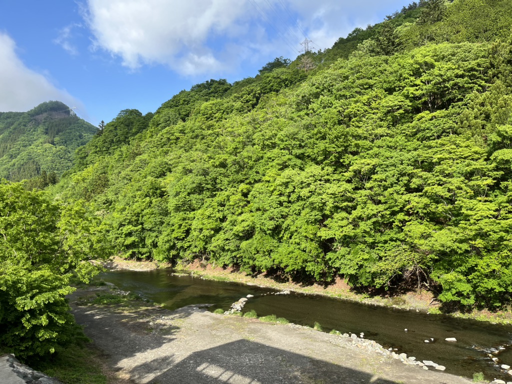 道の駅 上野の写真