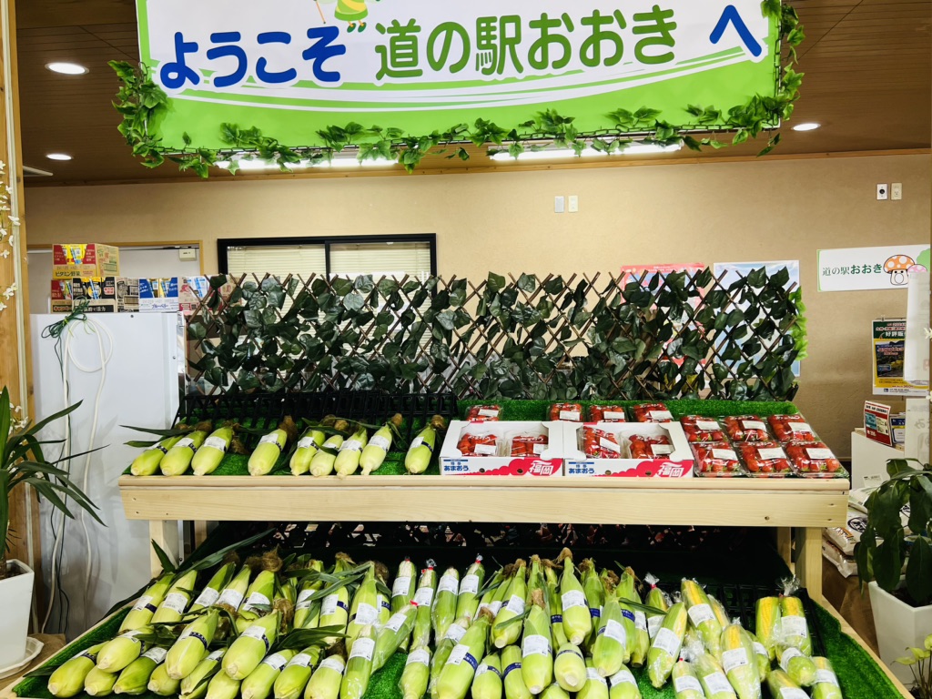 道の駅 おおきの写真