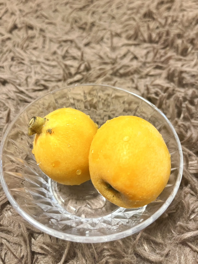 道の駅 きょなんの写真