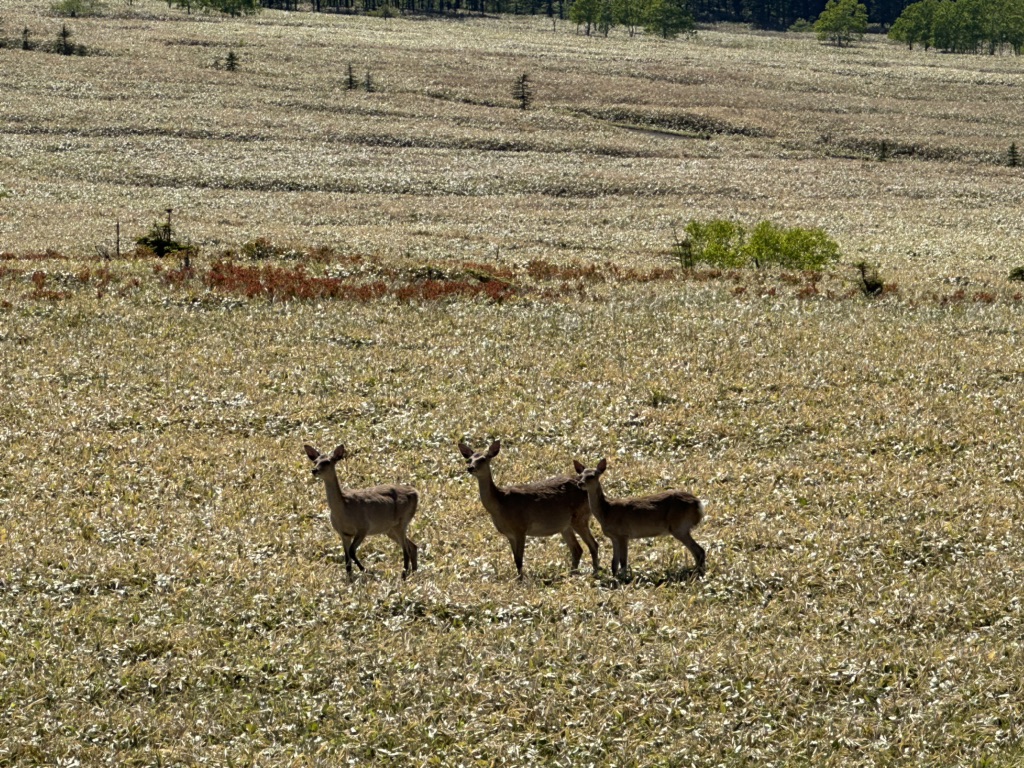 道の駅 ぐるっとパノラマ美幌峠の写真
