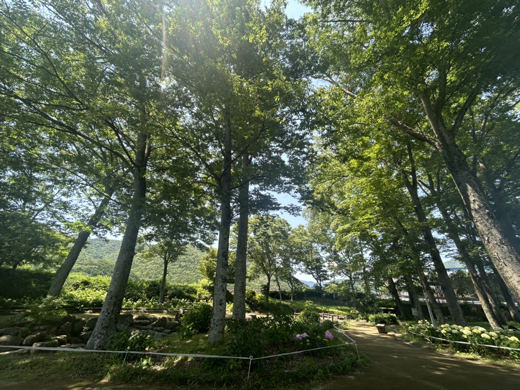 道の駅 山田錦発祥のまち・多可の写真